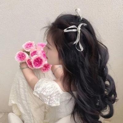 海葵